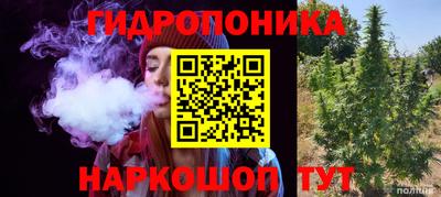 первитин Можга