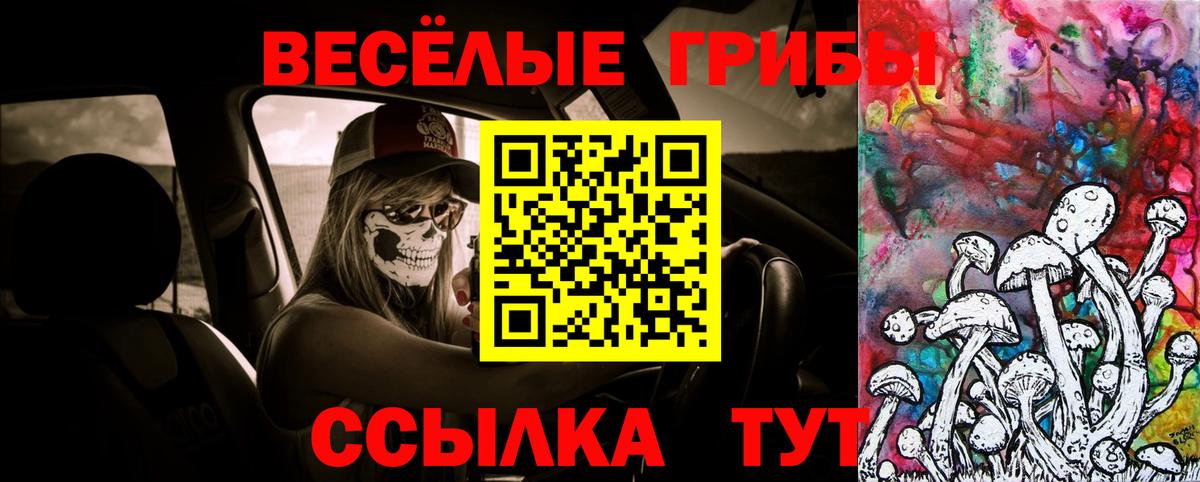 COCAIN Знаменск