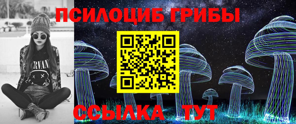 Знаменск  Галлюциногенные грибы мухоморы  Вход с VPN  Псилоцибиновые грибы Psilocybe 